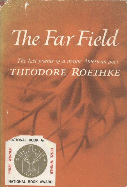 the far field book